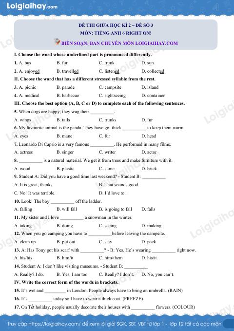 Đề thi giữa kì 2 Tiếng Anh 6 Right on! - Đề số 3